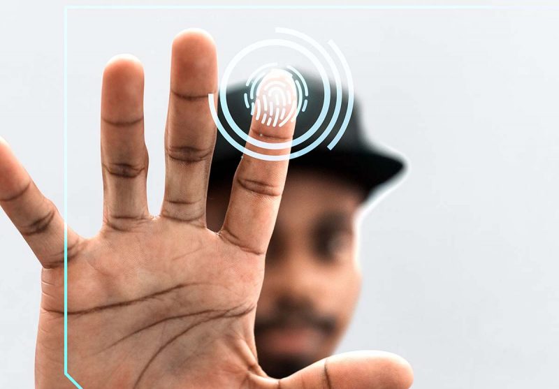 Web Tasarım & SEO Analiz